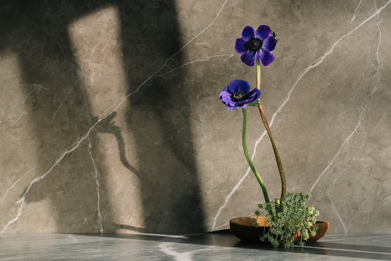 Ikebana: Umjetnost aranžiranja cvijeća