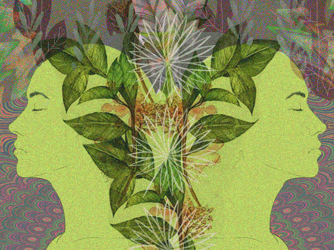 Plant Dietas – dublje povezivanje s duhovima biljaka
