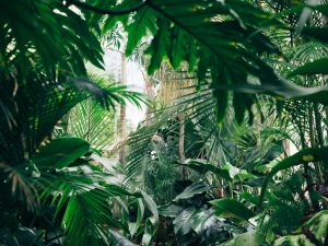 chris-abney-qLW70Aoo8BE-unsplash