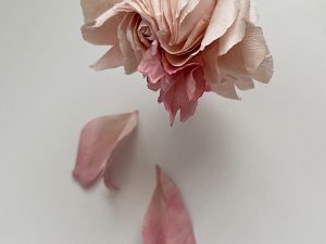 Razgovor: papirnato cvijeće i umjetnost sporog stvaranja rosepetals